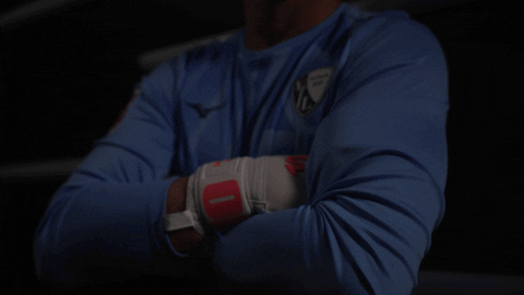 Germany Football GIF by Bundesliga