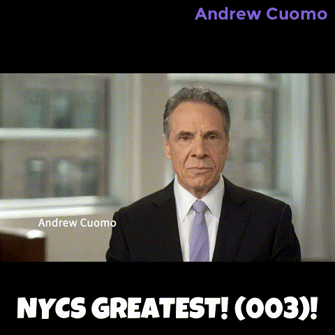 New York Vote GIF by Andrew Cuomo