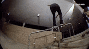 viceland GIF by KING OF THE ROAD