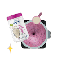Protein Smoothie Sticker by simply tera's