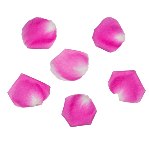 Flower Love Sticker by LAZY MOM