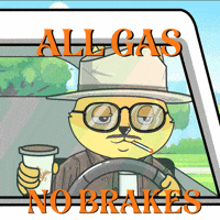 Driving Lets Go GIF by Raposa Coffee