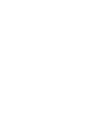 Jsir Sticker by Jameson SIR
