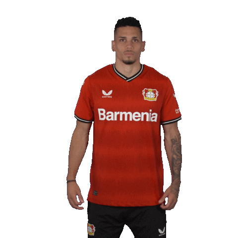 Happy Football Sticker by Bayer 04 Leverkusen