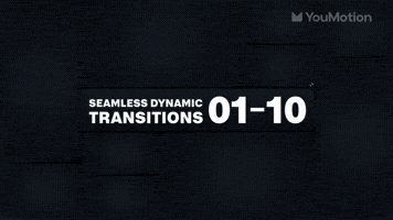 Seamless Dynamic Transitions 01 10