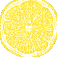 pastorebrewing spiral vanish limone pastore GIF