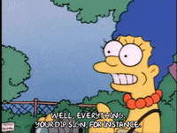 Season 1 Episode 3 GIF by The Simpsons