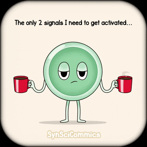 Coffee Cells GIF