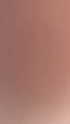 Pig Bacon GIF by Youtooz