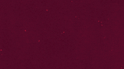 Acsparta Srdjan GIF by AC Sparta Praha