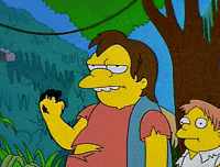 GIF by Giphy QA