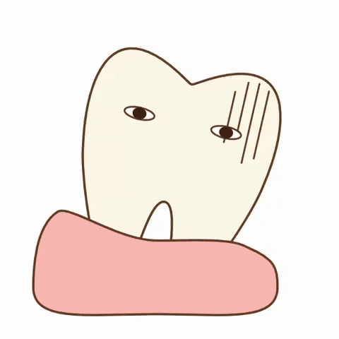 Tooth Sika GIF by dental_sozai