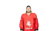 Hockey Celebrate Sticker by ledoritulys.lt