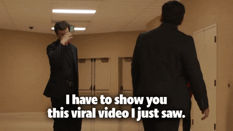 Season 1 GIF by SHOWTIME