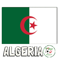 World Cup Football Sticker by Pudgy Penguins