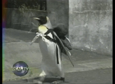 penguin running GIF