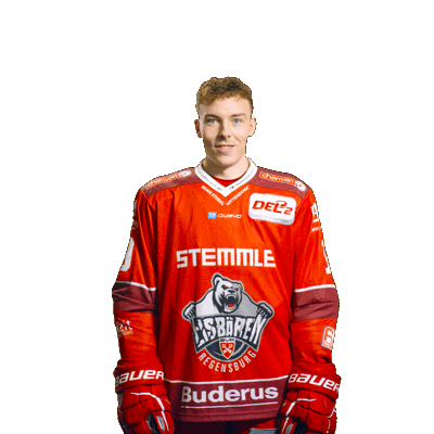 Goal Win Sticker by Eisbären Regensburg