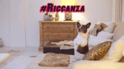 mtv GIF by MTV-Italia