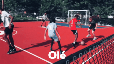 dcxiproject giphygifmaker nutmeg panna dcxi GIF