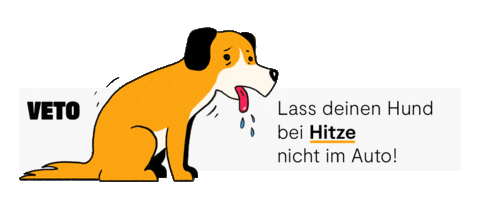 Dog Summer Sticker by veto_tierschutz