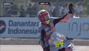 Celebration Wave GIF by MotoGP™