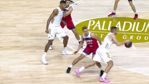Real Madrid Basketball GIF by ACB