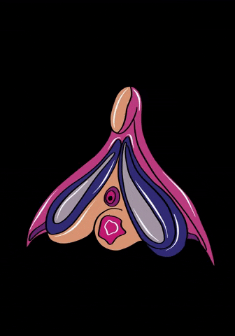 tachadesign giphyupload Yoni vulva clit GIF