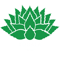 Agave Tobala Sticker by Convite Mezcal