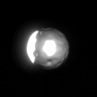 Loop Remodeling GIF by xponentialdesign