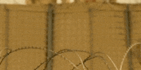 Talking War GIF by CanFilmDay