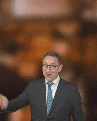 Party Wow GIF by Hallartún