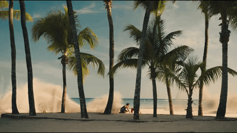 Palm Trees Beach GIF by Bacardi