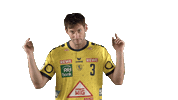 Handball-Bundesliga Sport Sticker by LIQUI MOLY HBL