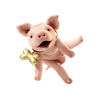 Pig Cerdo Sticker by Gusto Entertainment