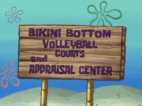 season 6 porous pockets GIF by SpongeBob SquarePants