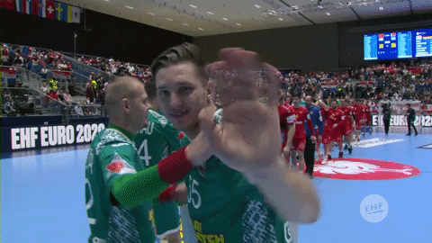 Ehfeuro GIF by EHF