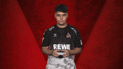 Fifa Vbl GIF by Bundesliga