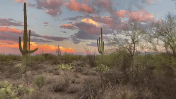 Majestic Sunset Colors Arizona Desert in Golden Hues