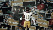 Georgia Tech Football GIF by Georgia Tech Yellow Jackets