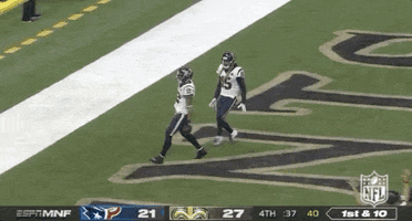 Houston Texans Football GIF by NFL
