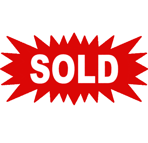 Realtor Realestate Sticker by ACE Realty Inc.