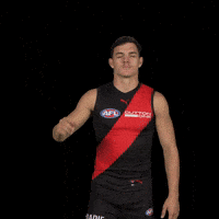 Afl Footy GIF by Essendon FC