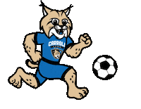 Lets Go Soccer Sticker by carrollcc