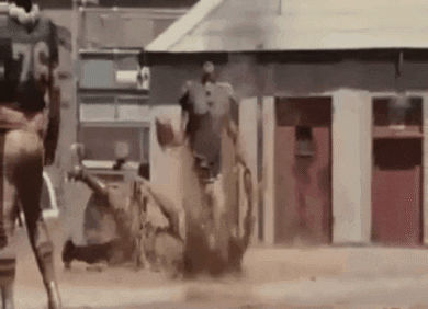 francescopalumbo34de giphygifmaker giphygifmakermobile sports football GIF