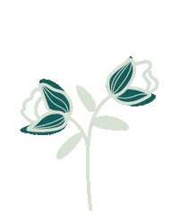 Spring Re Sticker by Kansas City Furnishing Company