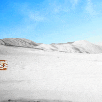 Slide Into Dms GIF by Pop-Tarts