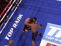 toprank fight boxing fighting espn GIF