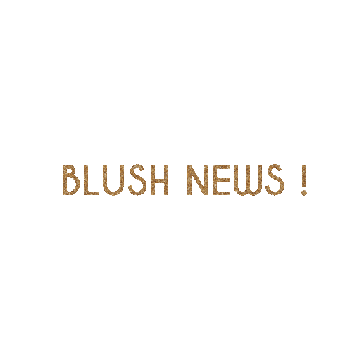 Blush News Sticker by Blush Concept Store