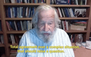 Noam Chomsky critical thinking