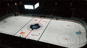 hockey GIF by Digg